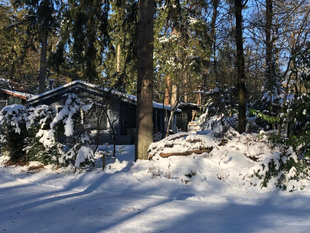 Dreamwoodz - Een Droomchalet Op De Veluwe Laag-Soeren Exterior photo